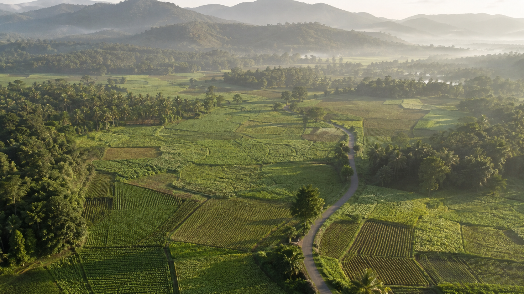 Illustrative landscape for the parcel concept